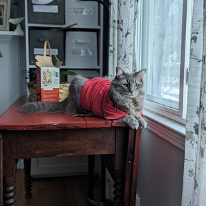 Fundraising Page: Everleigh Bates